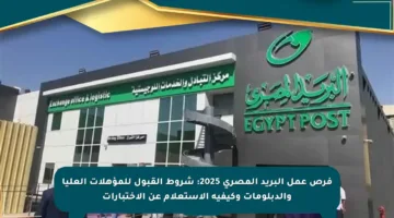فرص عمل البريد المصري 2025: شروط القبول للمؤهلات العليا والدبلومات وكيفية الاستعلام عن الاختبارات
